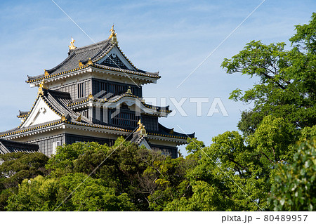 【岡山県】 岡山城 【岡山県】 岡山城 80489957