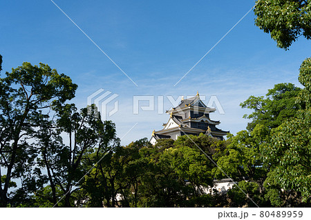 【岡山県】　岡山城 80489959