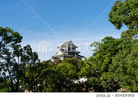 【岡山県】 岡山城 【岡山県】 岡山城 80489960