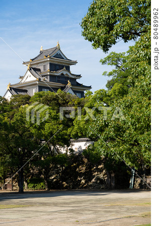 【岡山県】　岡山城 80489962
