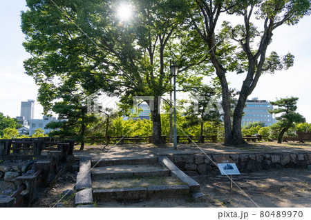 【岡山県】　岡山城 80489970