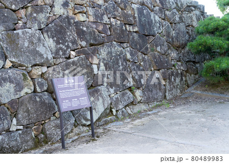 【岡山県】　岡山城 80489983