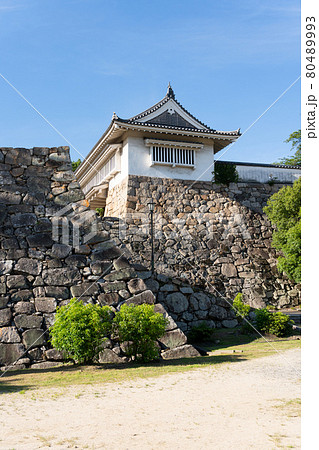 【岡山県】　岡山城 80489993
