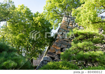 【岡山県】　岡山城 80490012