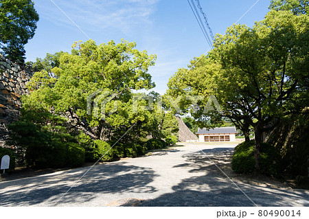 【岡山県】　岡山城 80490014