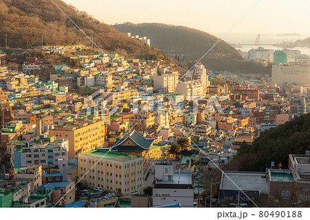 甘川文化村から海を望む 甘川文化村から海を望む 80490188