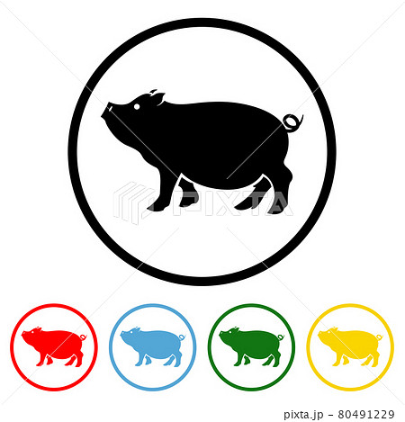 Pig Icon with Color Variations 80491229