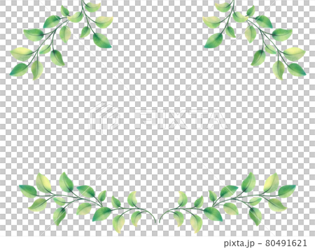 Illustration frame of fresh green leaves and branches Illustration frame of fresh green leaves and branches 80491621