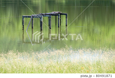The water pump station on the concrete frame in the small reservoir. 80491871