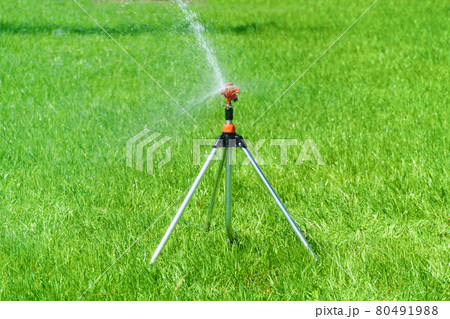 sprinklers water the green lawn in the city park, bright beautiful grass 80491988