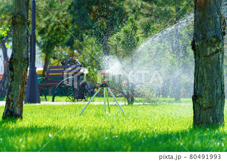 city park on a summer day, green lawns with grass and trees, paths and benches, people walking and children playing, bright sunlight and shadows city park on a summer day, green lawns with grass and trees, paths and benches, people walking and children playing, bright sunlight and shadows 80491993