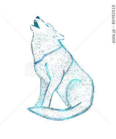 Wolf howling at the moon logo. T-shirt printing. Vector illustration 80492010