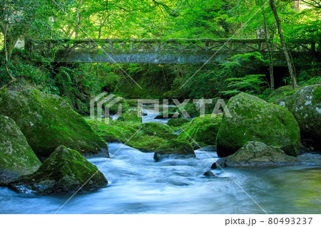 豊田市 夏の王滝渓谷 豊田市 夏の王滝渓谷 80493237