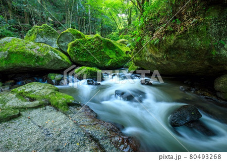 豊田市 夏の王滝渓谷 豊田市 夏の王滝渓谷 80493268
