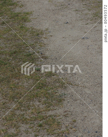 荒地 草原 野原 雑草 土地 荒地 草原 野原 雑草 土地 80493572