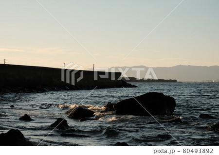 志賀島　夏の朝 80493892