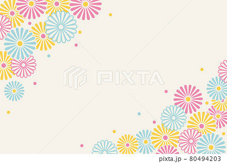 パステルカラーの菊のイラストの背景素材 80494203