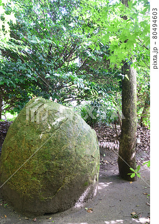 神徳稲荷神社の縁結びの大石 神徳稲荷神社の縁結びの大石 80494603