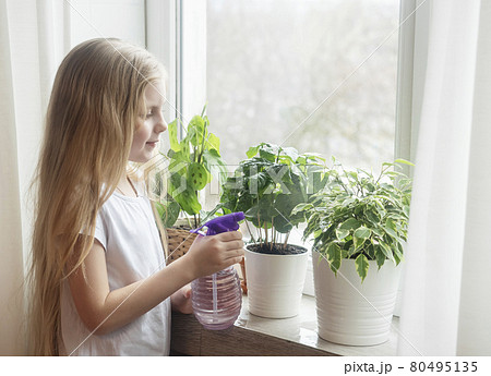 Little girl splashing water on house plants Little girl splashing water on house plants 80495135