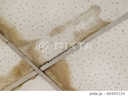 Leaking ceiling, old dirty water on the roof or flooding of neighbors, ceiling repair 80495224
