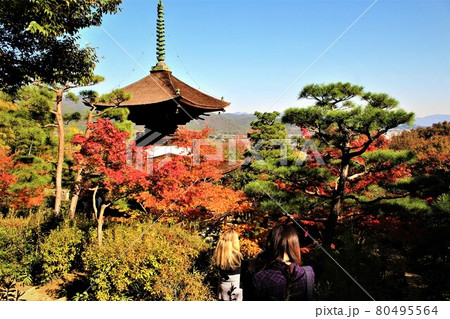 常寂光寺の紅葉と多宝塔 80495564