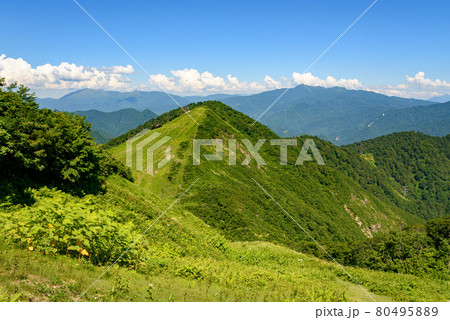夏の天神峠と高倉山 80495889