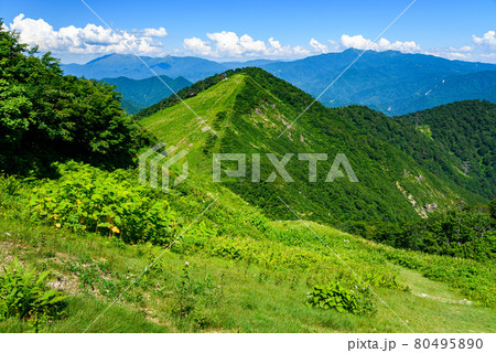 青空と高倉山 80495890