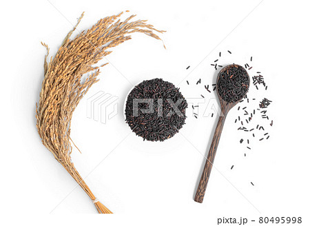 Paddy rice with black riceberry rice isolated on white background. Organic. Raw, wheat or grain. Agriculture. Food. 80495998