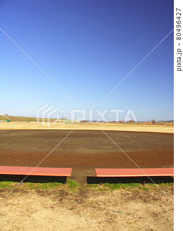 冬の江戸川河川敷の野球場風景 80496427
