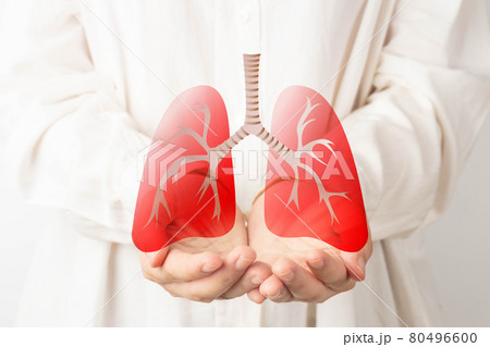 Human hands holding lung organ symbol. Awareness of lung cancer, pneumonia, asthma, COPD, pulmonary hypertension, world no tobacco day and eco air pollution. Respiratory and chest concept. 80496600