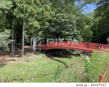 下諏訪町の赤い橋 下諏訪町の赤い橋 80497445