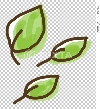 手繪樹葉,三片朝右 手繪樹葉,三片朝右 80497660