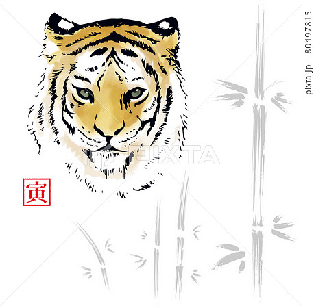 かっこいい系トラ顔と竹イラストのイラスト素材