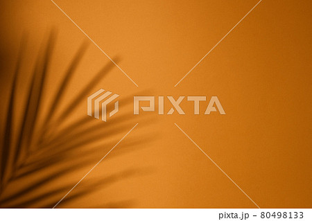 Tropical palm plant shadow on bright orange background with blank space.Top view of tropical leaf shadow. Summer concept with palm tree leaf, copyspace.. Tropical palm plant shadow on bright orange background with blank space.Top view of tropical leaf shadow. Summer concept with palm tree leaf, copyspace.. 80498133
