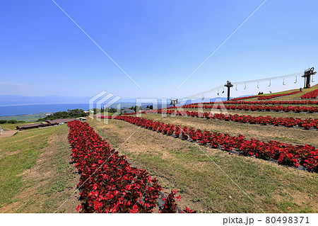 びわこ箱館山 夏のイベント びわこ箱館山 夏のイベント 80498371