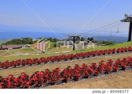 びわこ箱館山 夏のイベント びわこ箱館山 夏のイベント 80498377