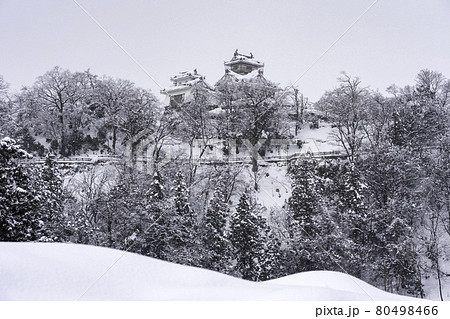 雪が降り積もる越前大野城 雪が降り積もる越前大野城 80498466