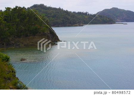 小笠原父島の境浦海岸 80498572
