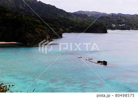沈没船のある小笠原父島の境浦海岸 80498575