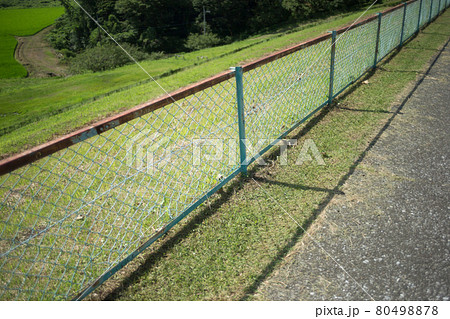 屋外に設置された古いフェンス 80498878