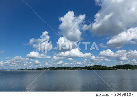 涸沼に浮く綿雲と湖畔道【湖沼の夏空イメージ】 80499107