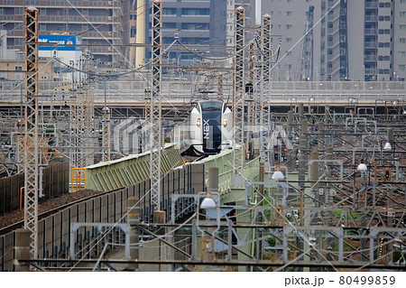 成田エクスプレス 成田エクスプレス 80499859