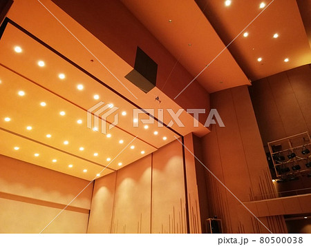 コンサートホールの天井 コンサートホールの天井 80500038