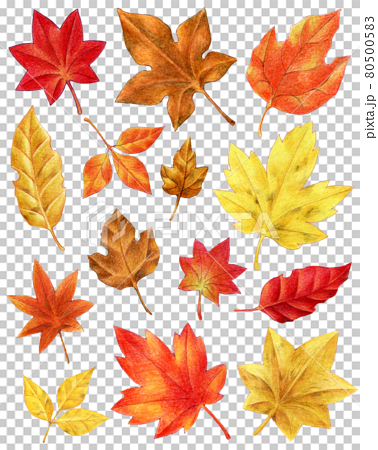 How to Draw Fall Oak Leaves - Really Easy Drawing Tutorial