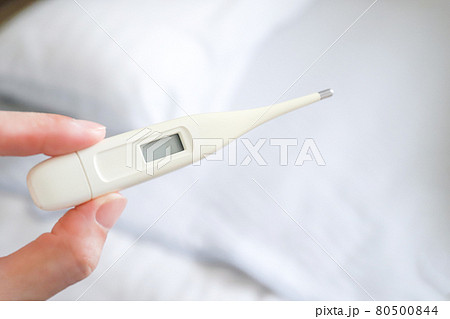 電子体温計 80500844