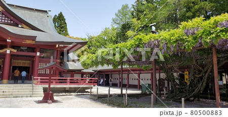 笠間稲荷神社 80500883