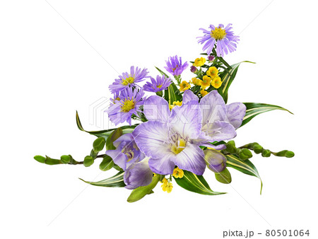Purple freesia, asters amellus and small yellow flowers in a corner floral arrangement isolated 80501064