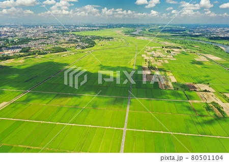 ドローンで撮影した田園風景 80501104