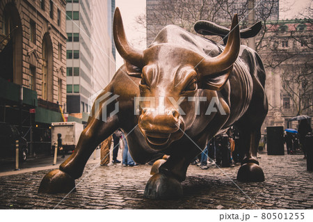 Charging Bull in Lower Manhattan, New York City. 80501255