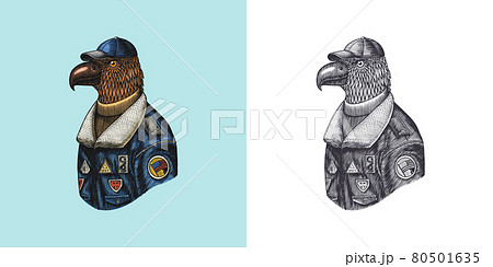 Eagle character in coat. Aviator pilot. Fashionable animal, vitorian airman or skyman. Hand drawn Eagle character in coat. Aviator pilot. Fashionable animal, vitorian airman or skyman. Hand drawn 80501635